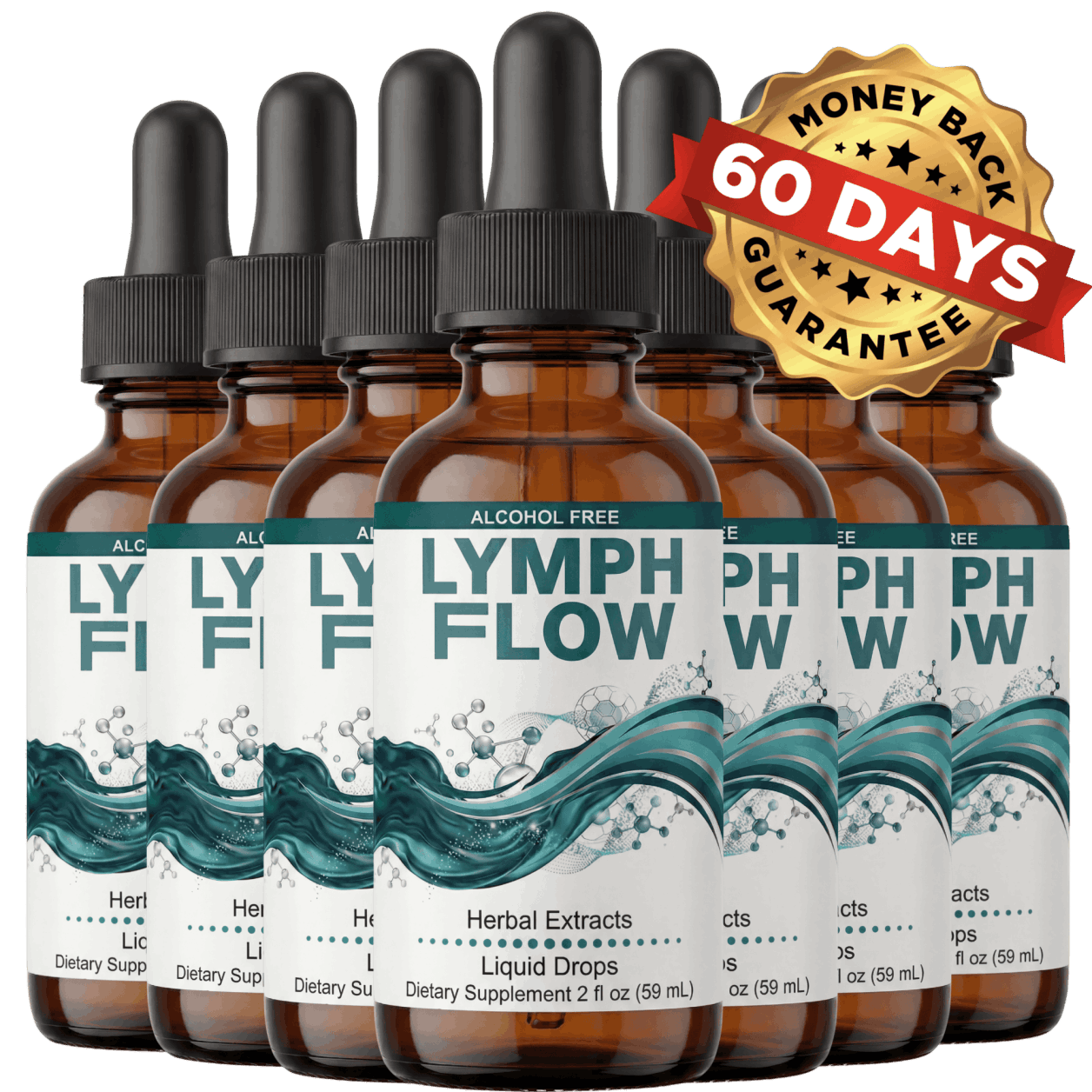 Lymph Flow-6-bottle